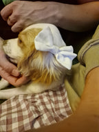 Hair Bow on a clip, hairband, or scrunchie