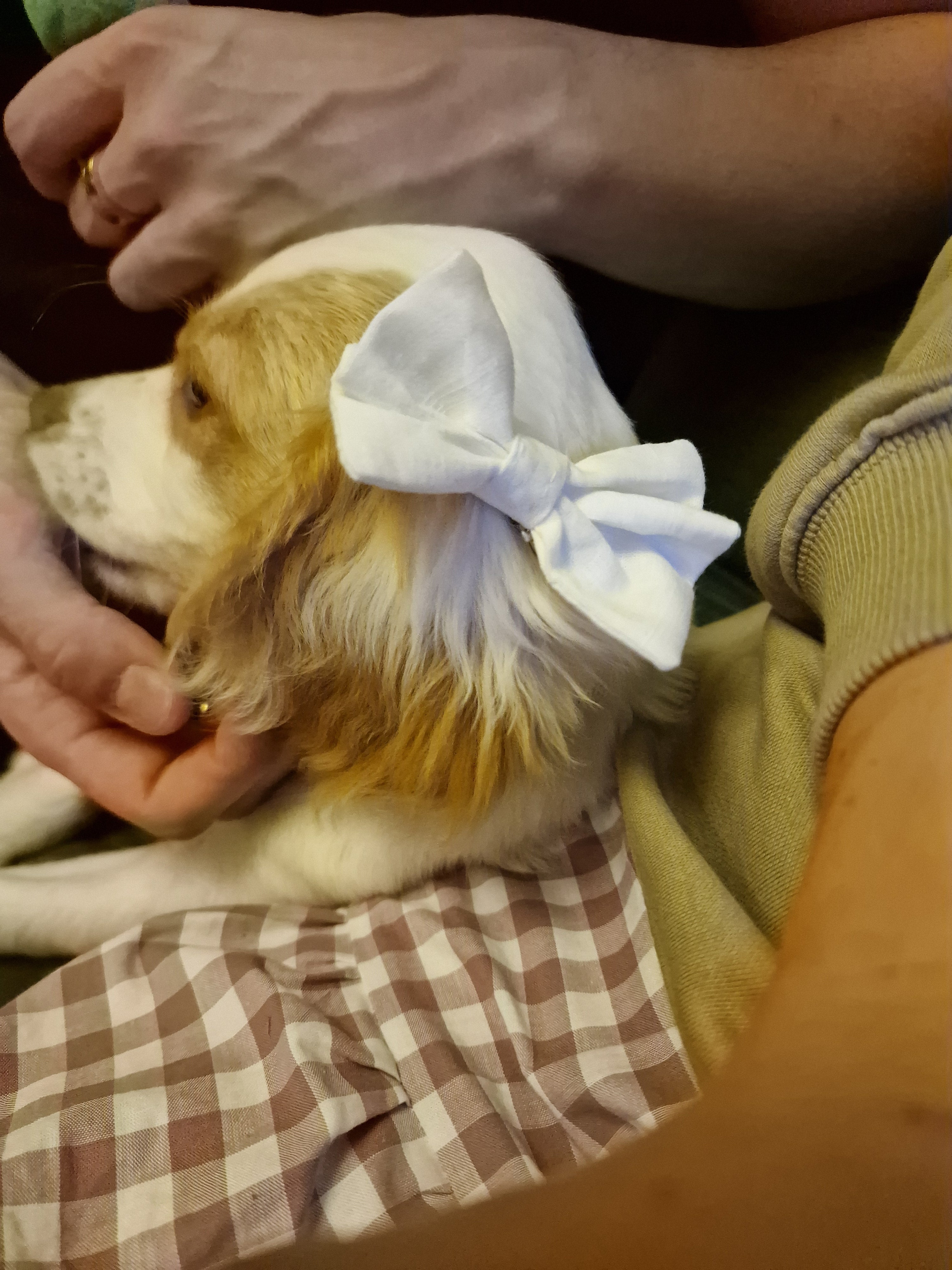 Hair Bow on a clip, hairband, or scrunchie