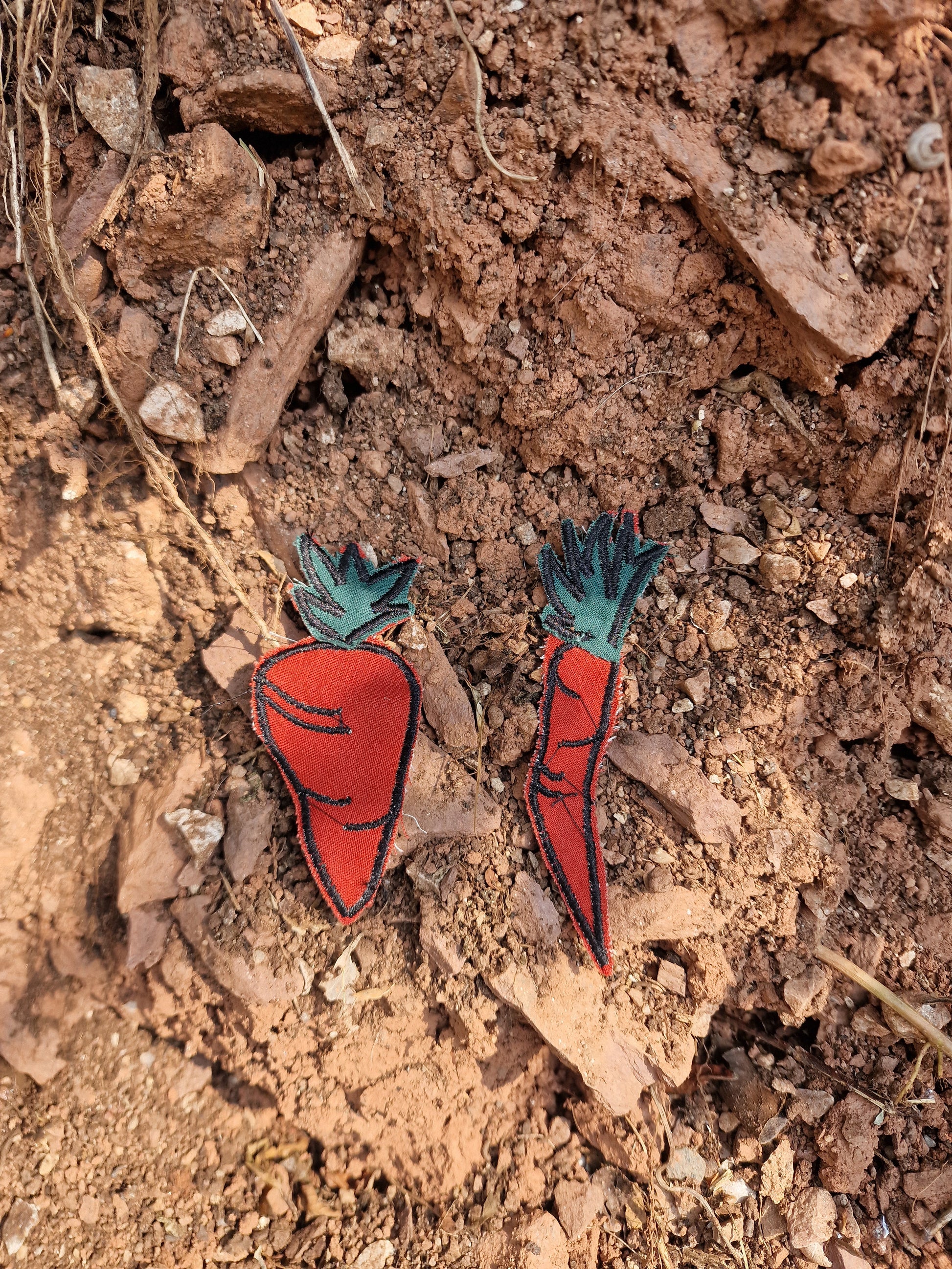 Wonky Carrots Patch