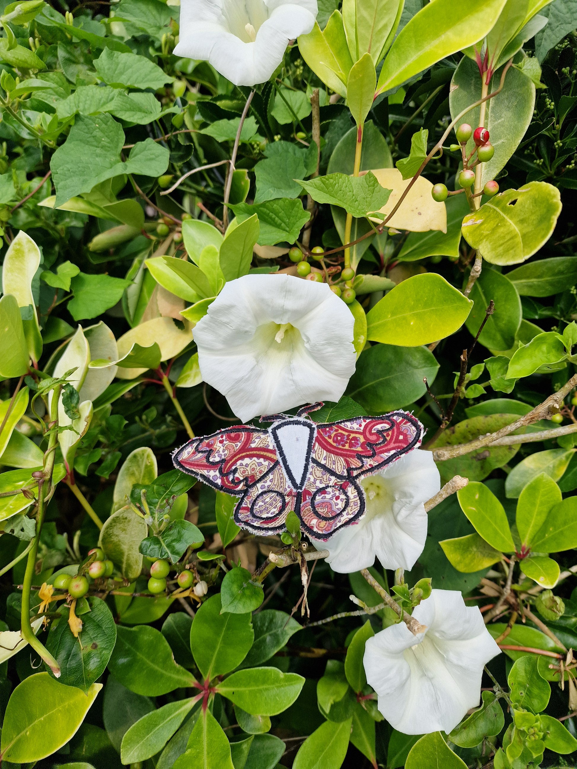 Moth Patch
