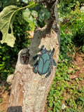 Beetle Patch