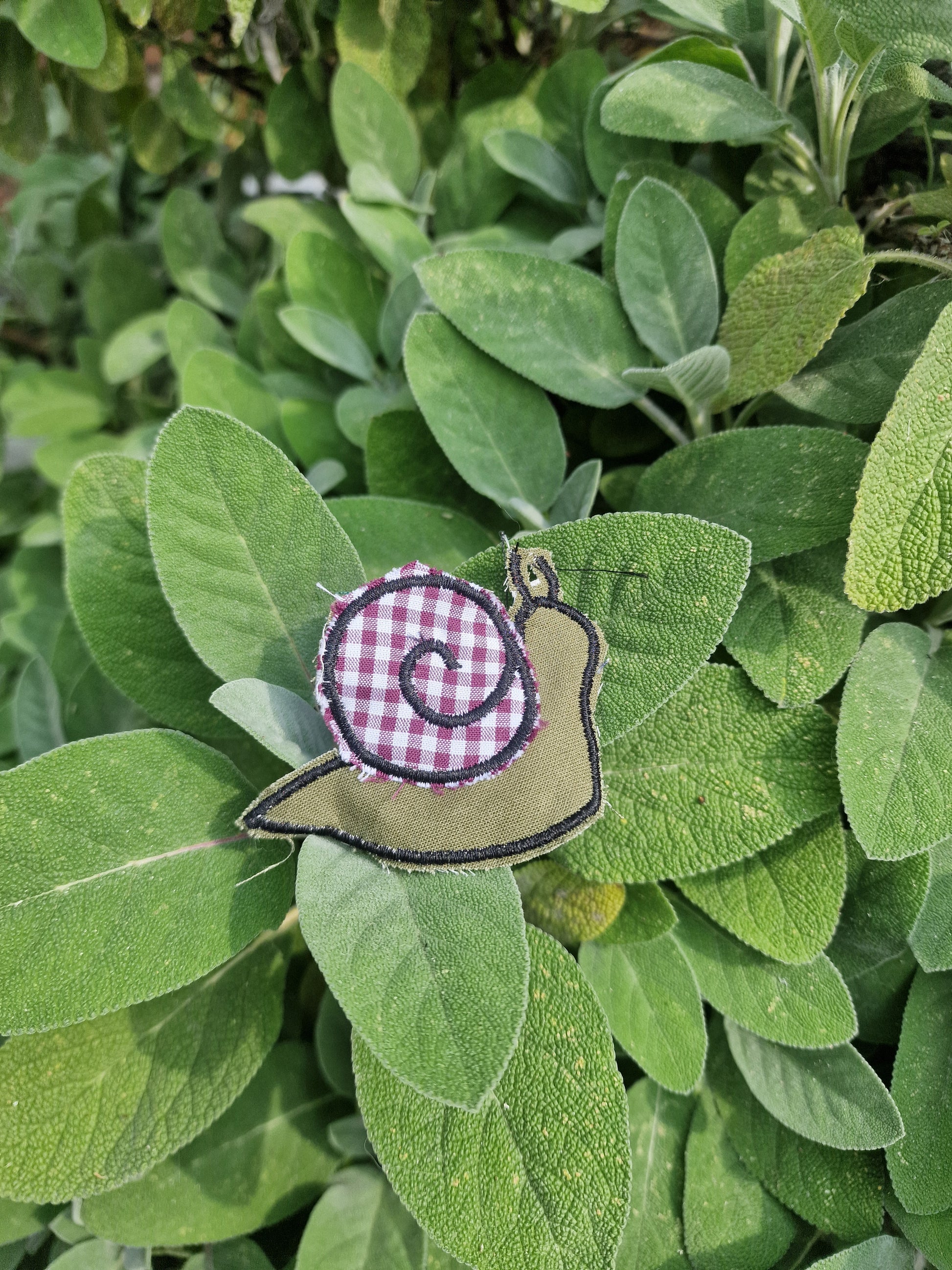 Snail patch