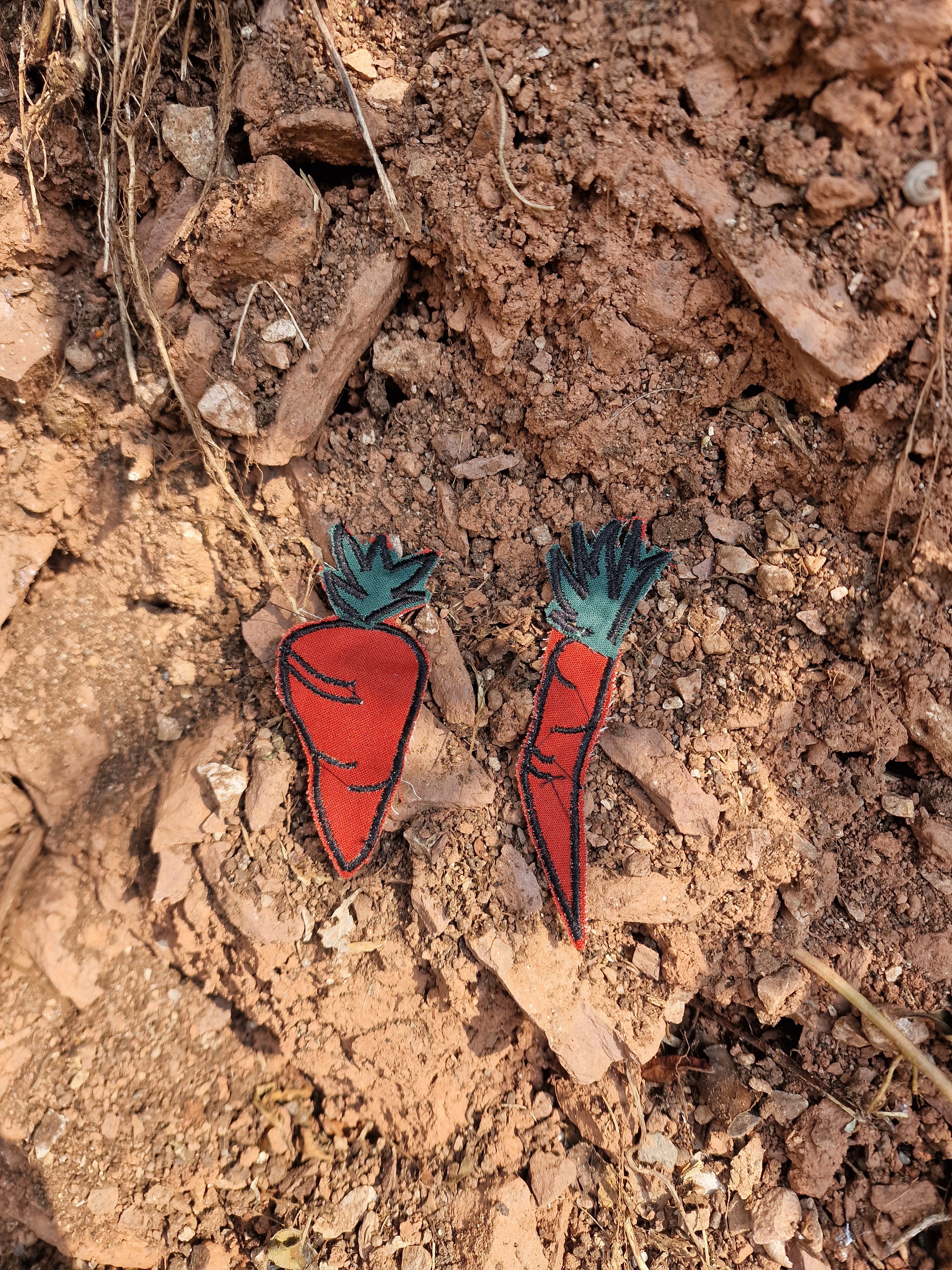 Wonky Carrots Patch
