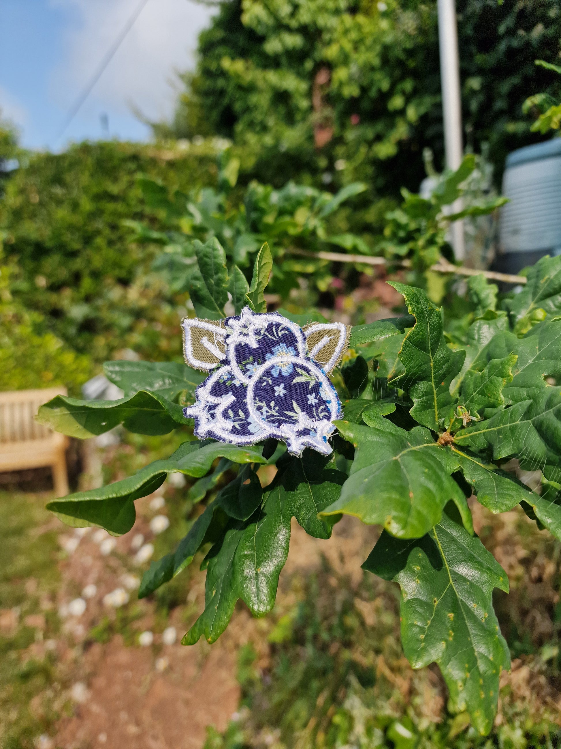 Blueberry Patch