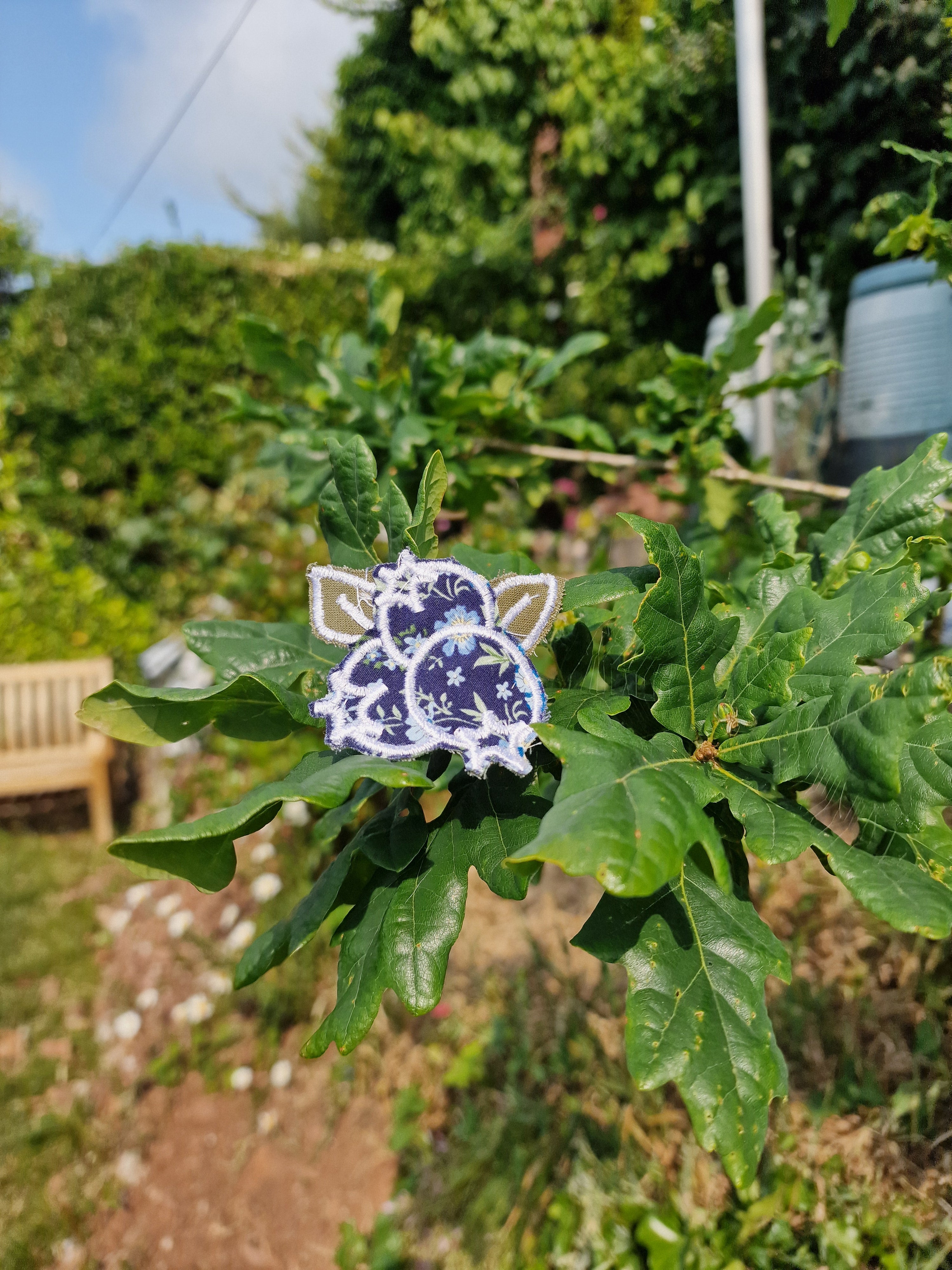 Blueberry Patch